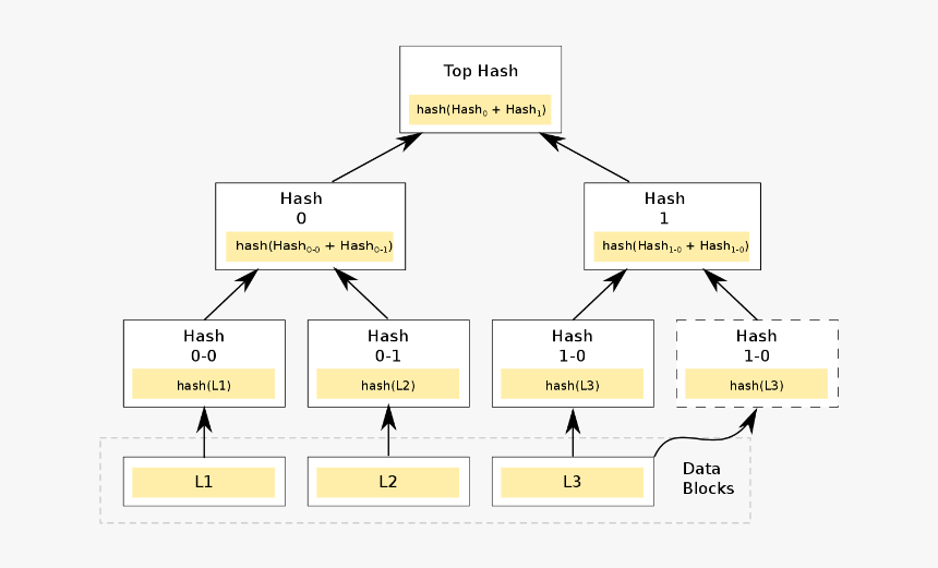 Hash Tree Merkel Tree For Bitcoin, HD Png Download, Free Download