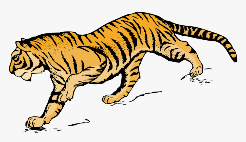 Tiger Clipart Illustration In Color, HD Png Download, Free Download