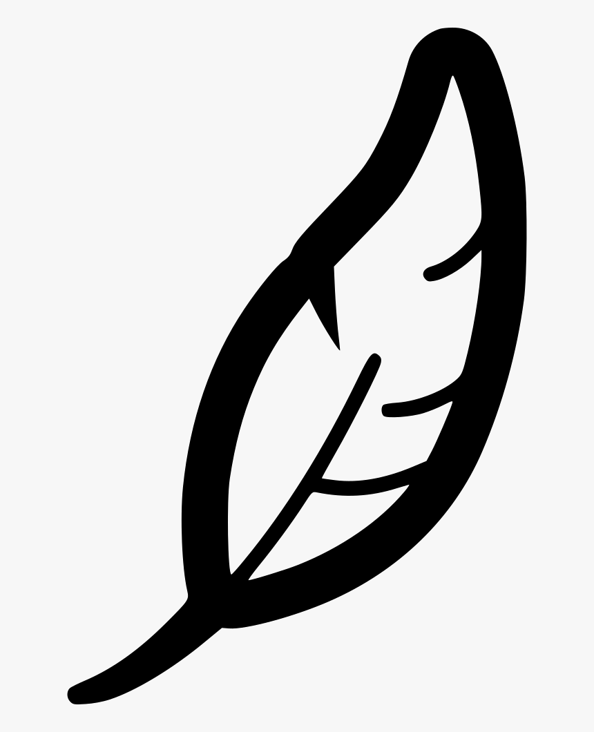 Feather, HD Png Download, Free Download