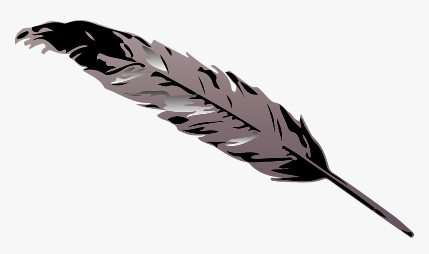 Feather Png, Transparent Png, Free Download