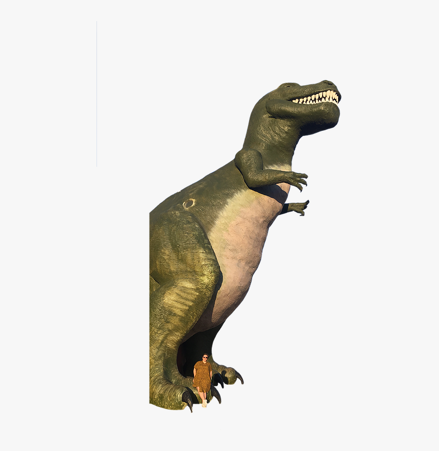 Dinosaur Png, Transparent Png, Free Download