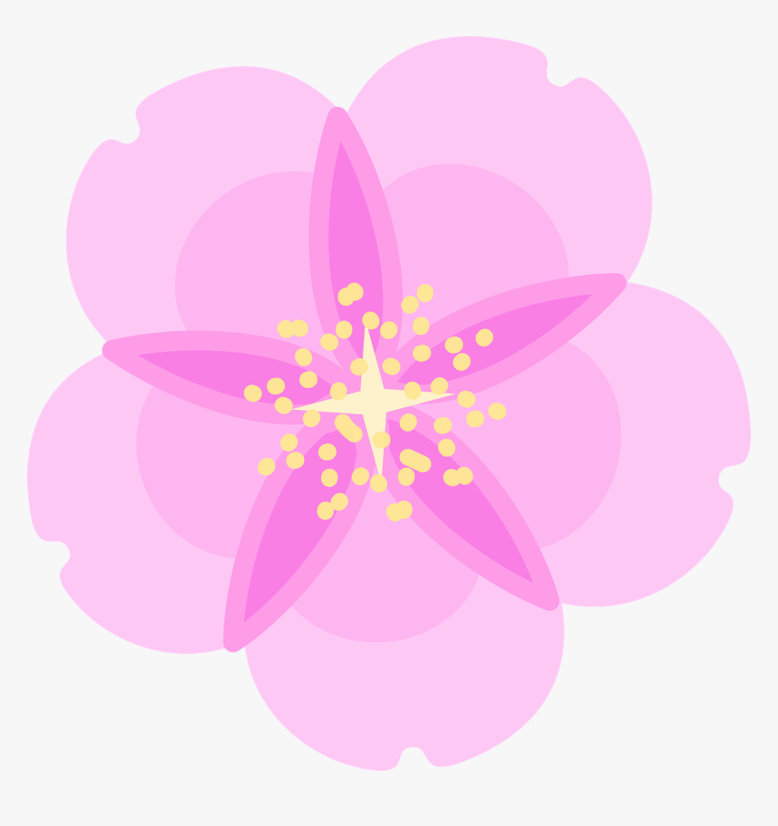 Cherry Blossom Png, Transparent Png, Free Download