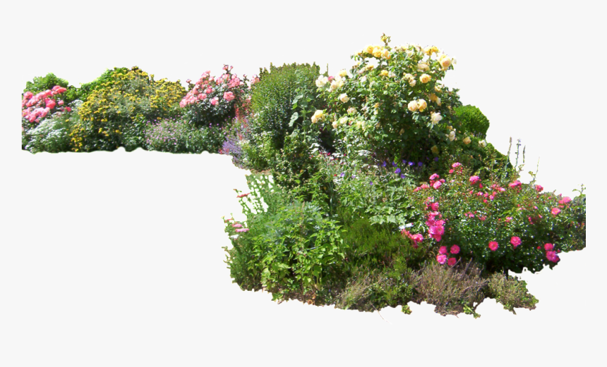 Flower Garden Png, Transparent Png, Free Download