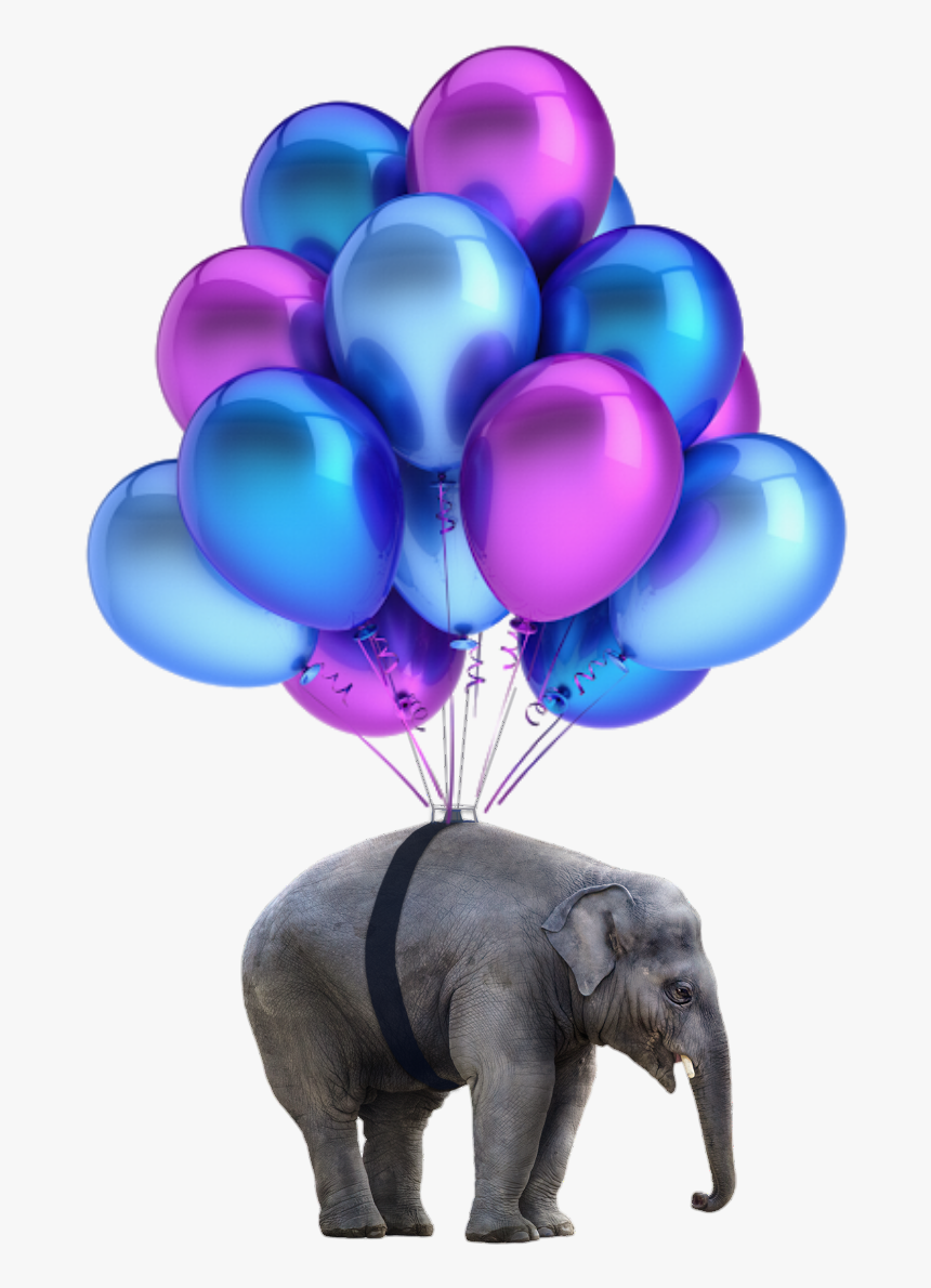 #elephant #png #nobackground #balloons, Transparent Png, Free Download