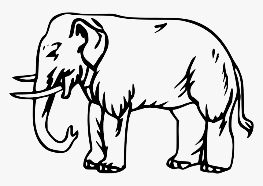 Elephant, HD Png Download, Free Download