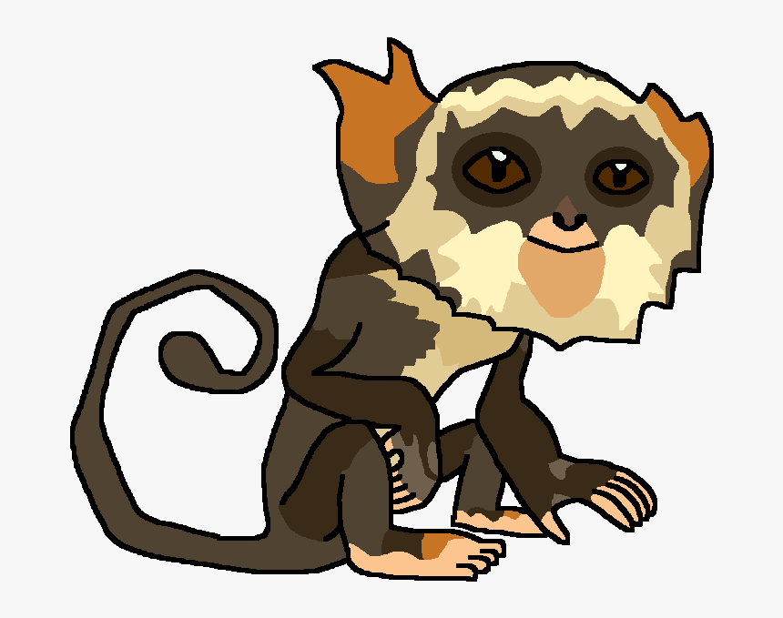 Monkey Png, Transparent Png, Free Download