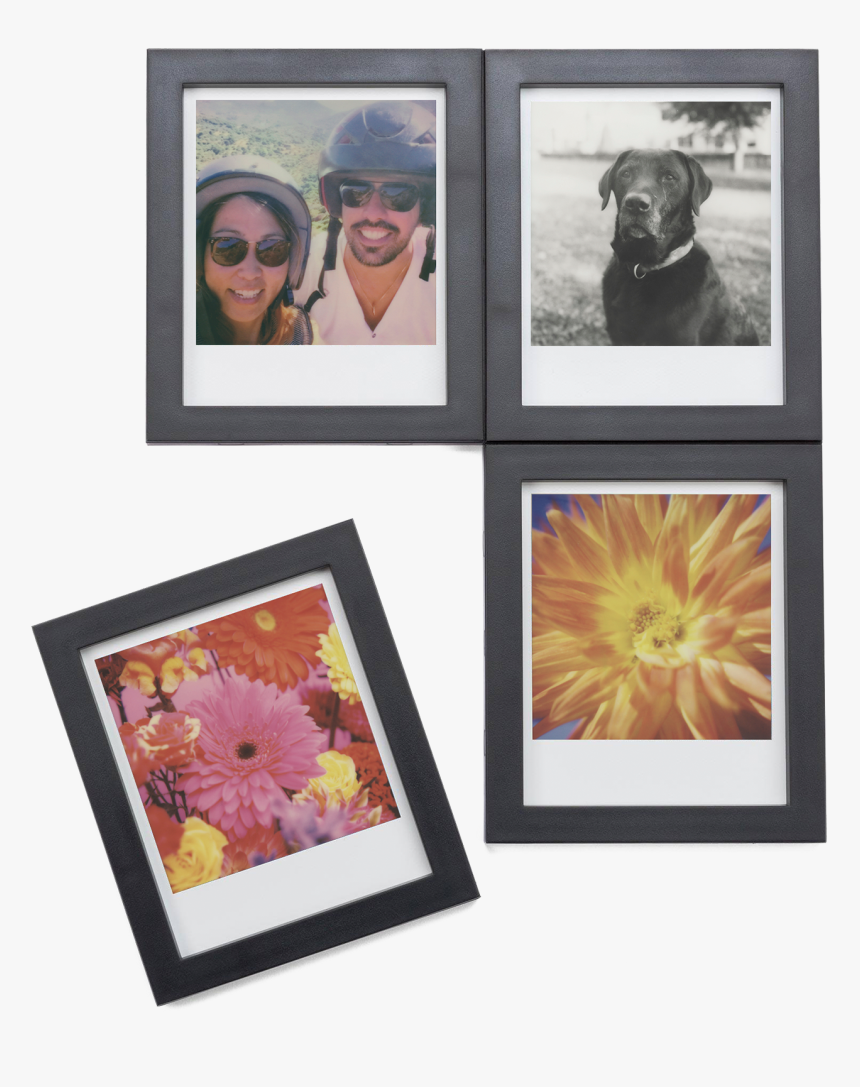 Polaroid Frame Png, Transparent Png, Free Download