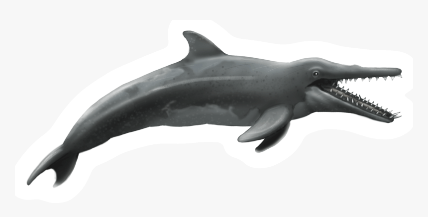 Dinosaur Dolphin , Png Download, Transparent Png, Free Download