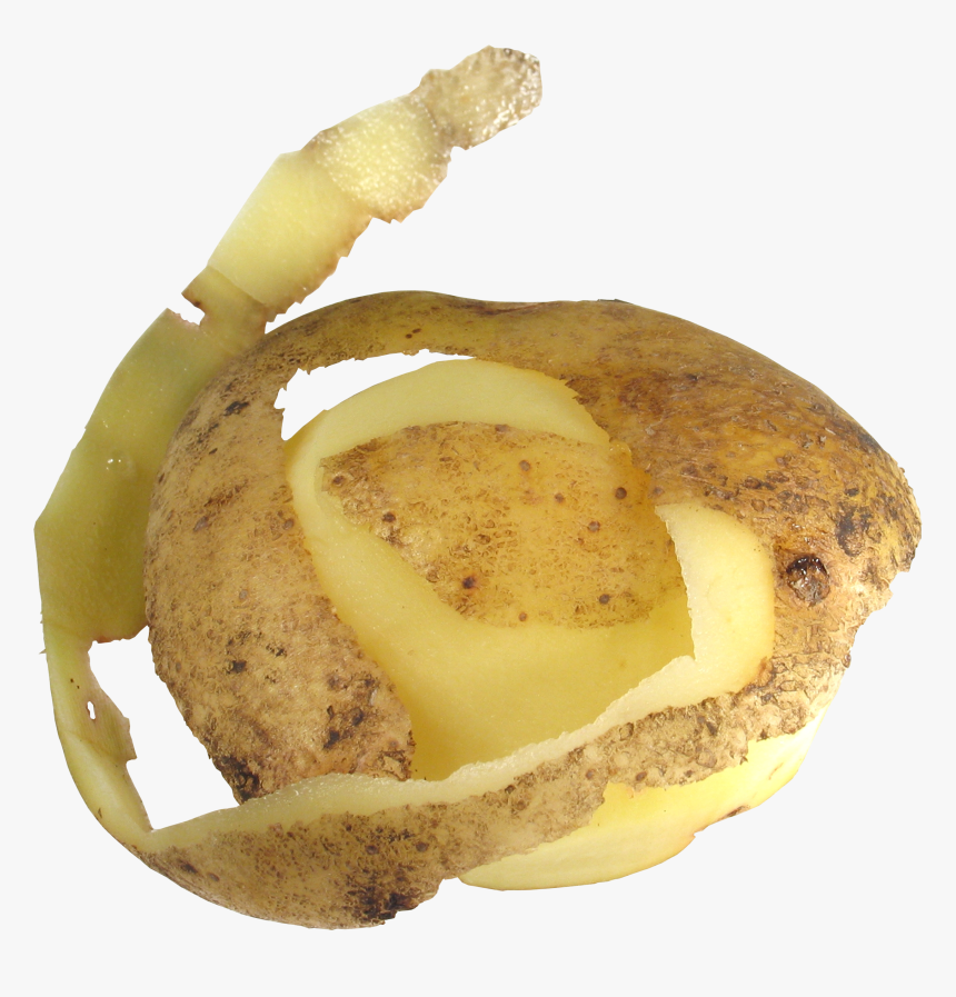 Potato Png, Transparent Png, Free Download