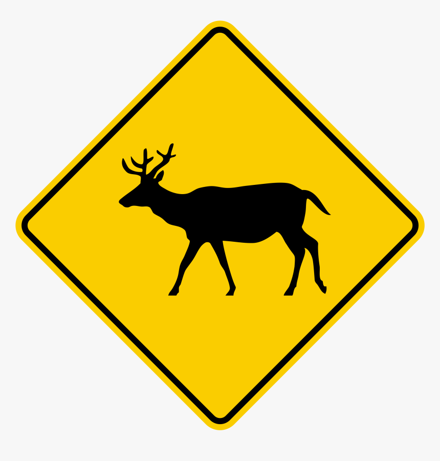 Deer Png, Transparent Png, Free Download