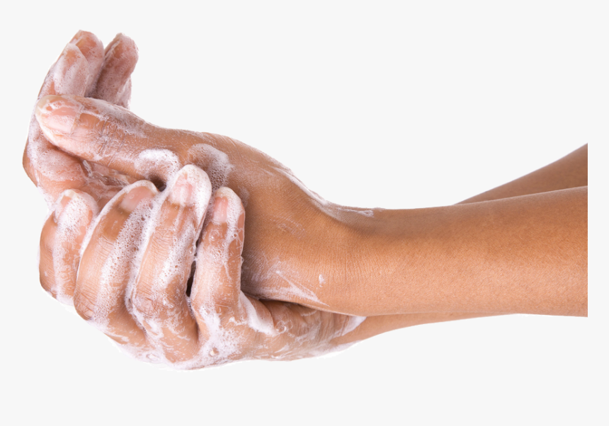 Washing Hands Png, Transparent Png, Free Download