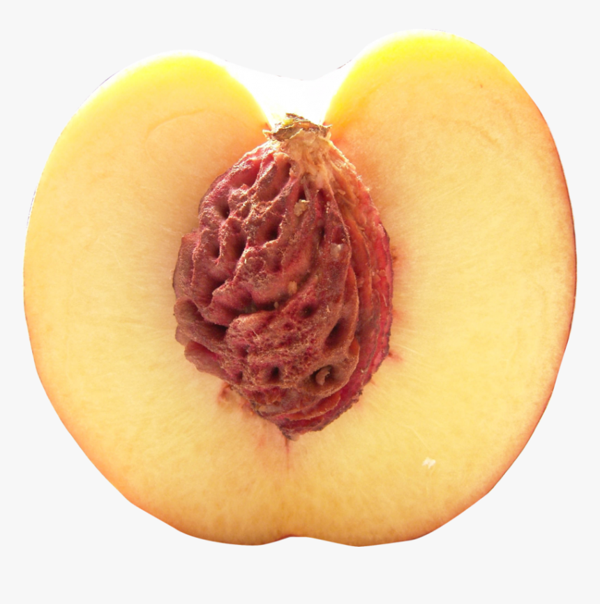 Half Peach Png Image, Transparent Png, Free Download