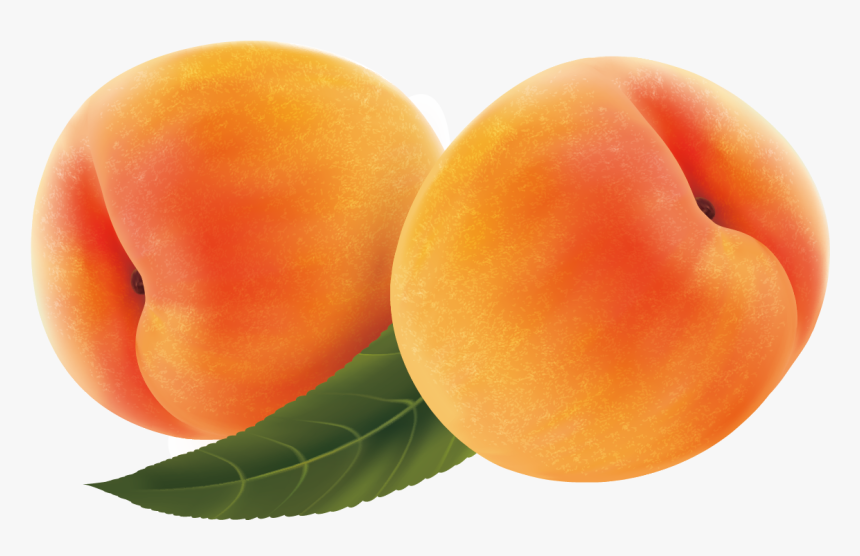 Fruit Peach Transprent Png Free Download, Transparent Png, Free Download