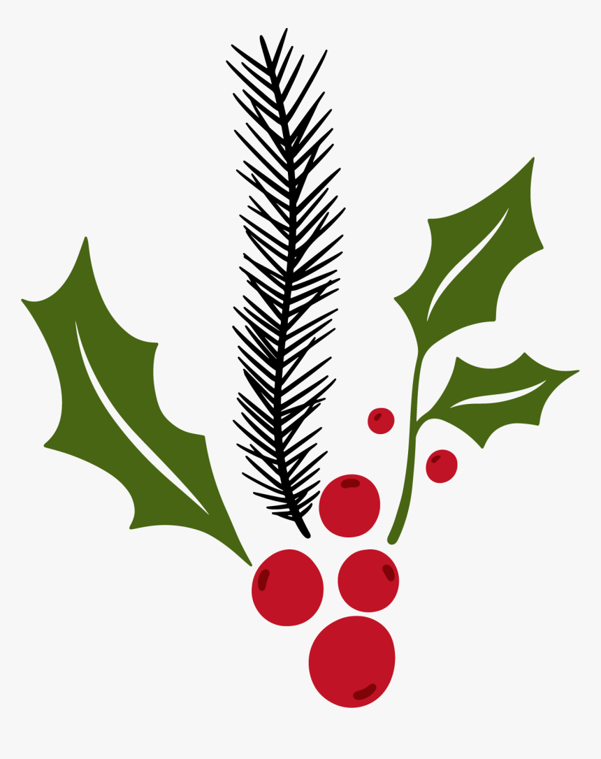 Mistletoe Png, Transparent Png, Free Download