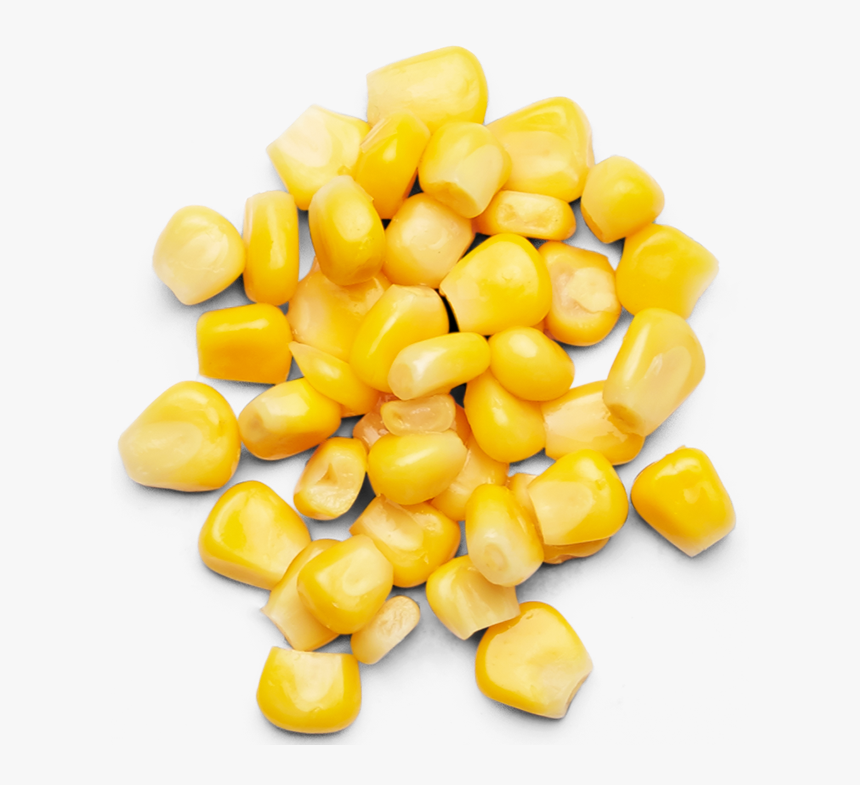 Corn Kernel Png, Transparent Png, Free Download