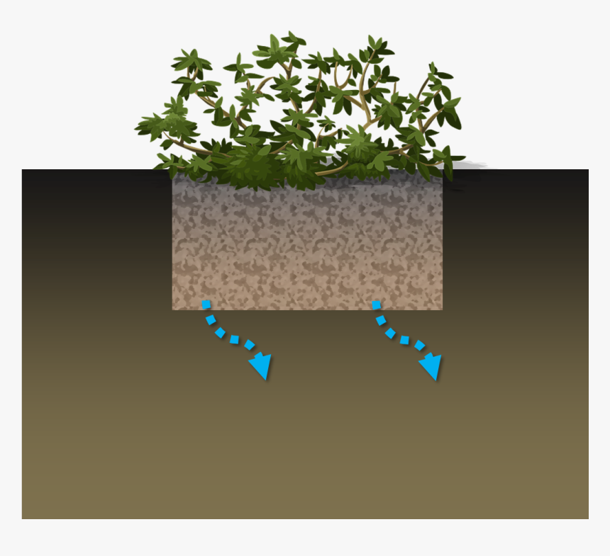 Rain Garden Schematic, HD Png Download, Free Download