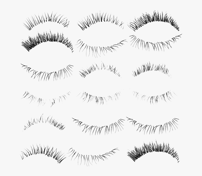 False Eyelashes Png High-quality Image, Transparent Png, Free Download