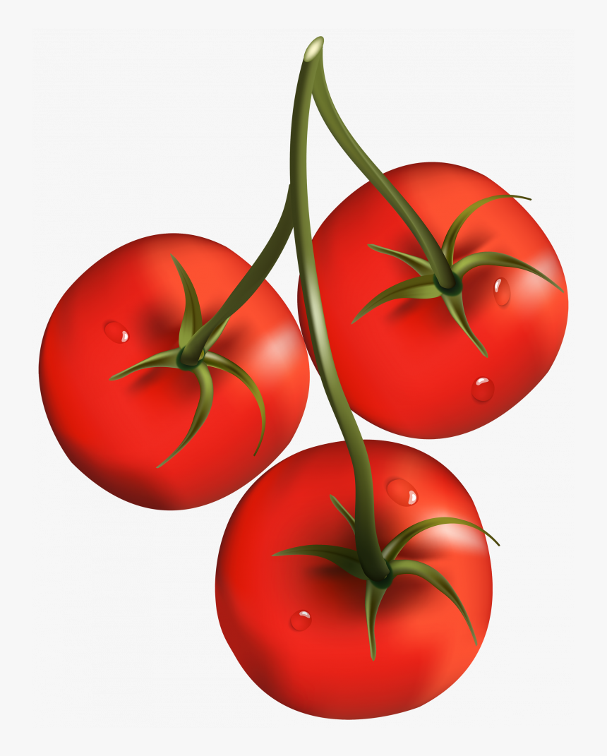 Download For Free Tomato Png Icon, Transparent Png, Free Download