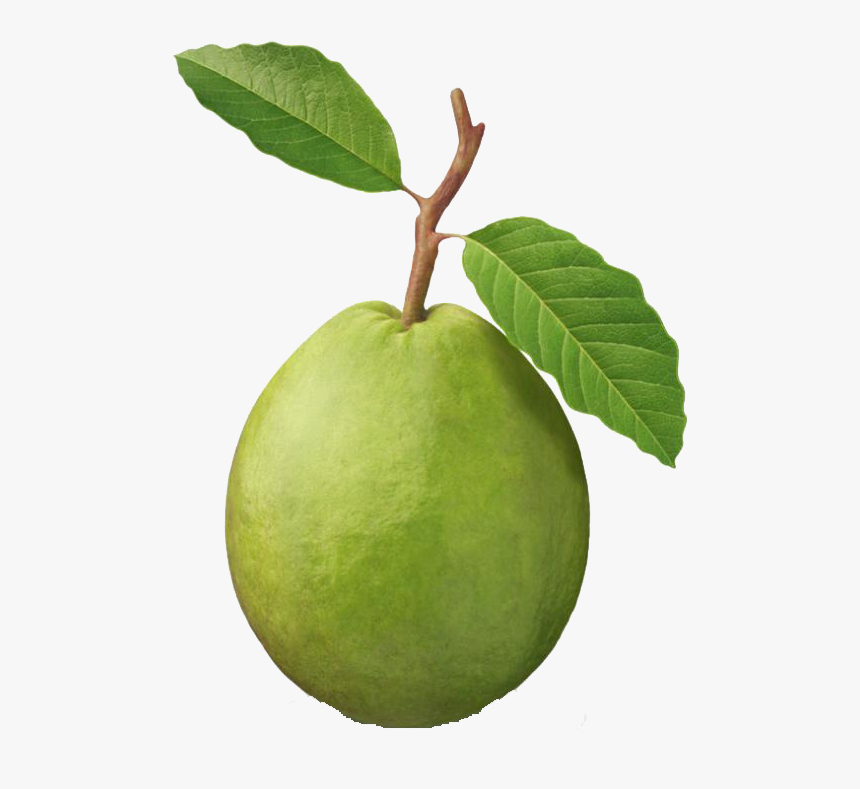 Guava Punch Clip Art Fruit, HD Png Download, Free Download