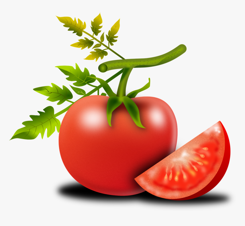 Tomato Png Shop Of Library Buy Clip Ⓒ, Transparent Png, Free Download