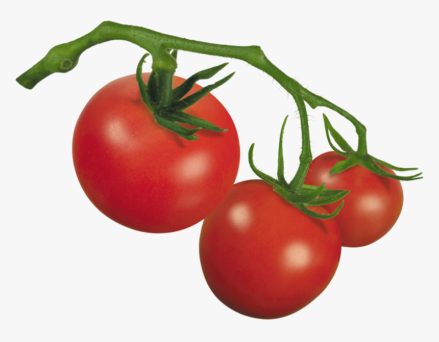 Clipart Of Tomato, Tomato The And Tomato Of, HD Png Download, Free Download