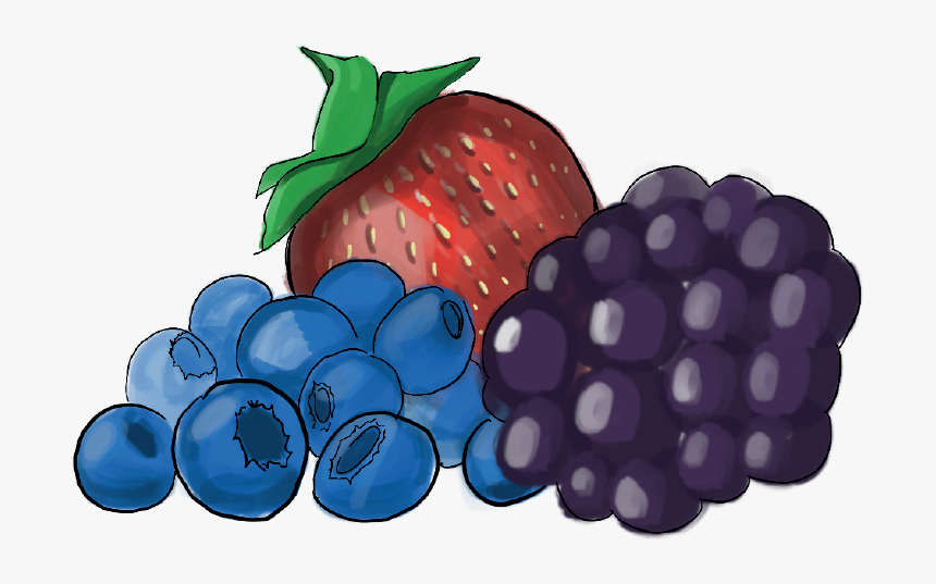 Fruit, HD Png Download, Free Download