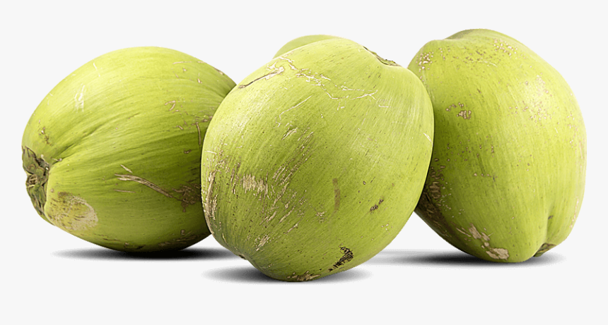 Green Coconut Png, Transparent Png, Free Download