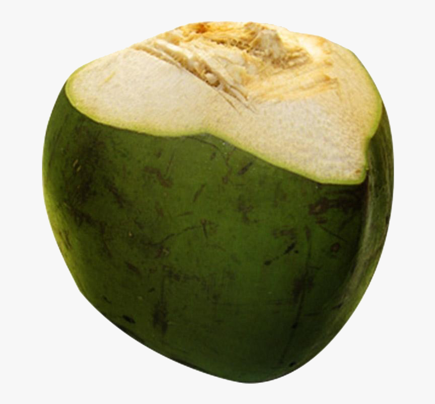 Coconut Free Png, Transparent Png, Free Download