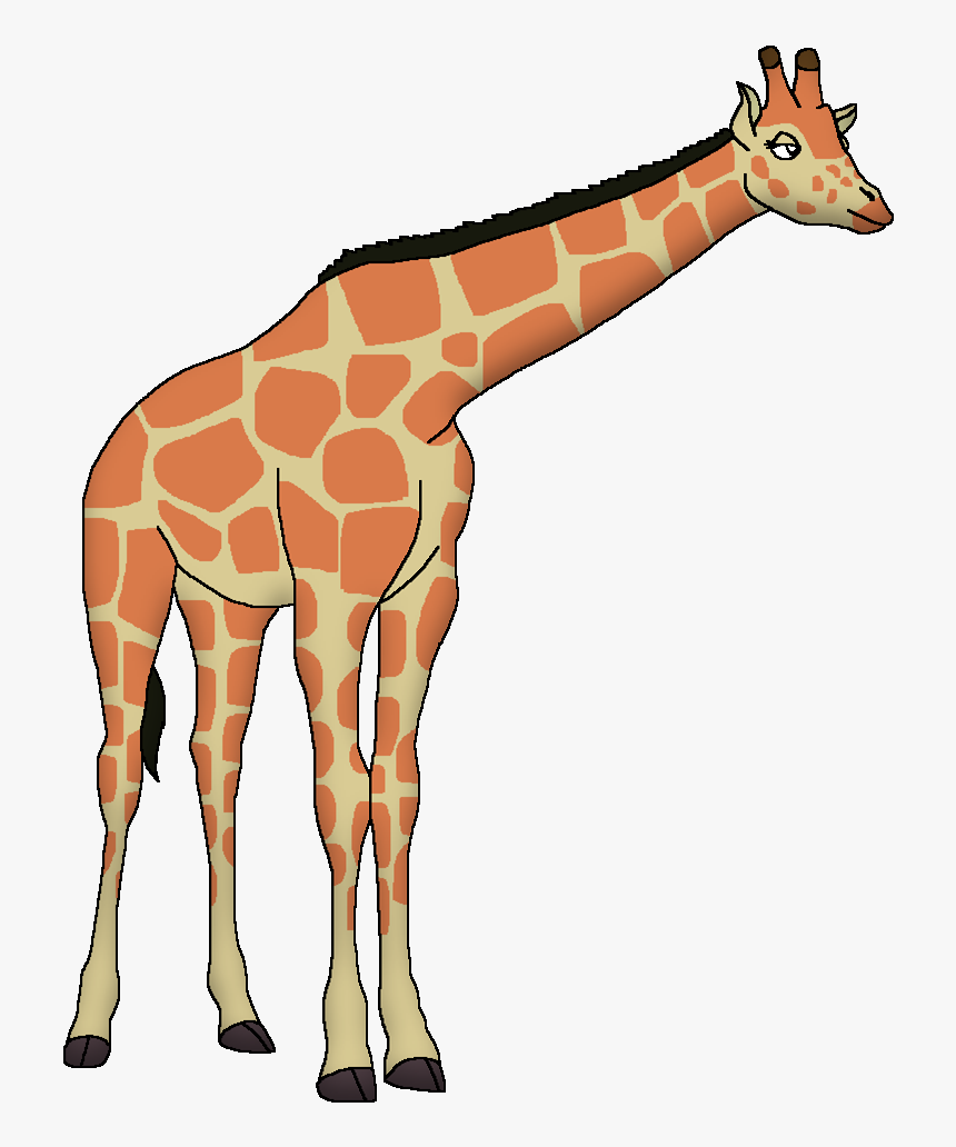 Transparent Giraffe Png, Png Download, Free Download