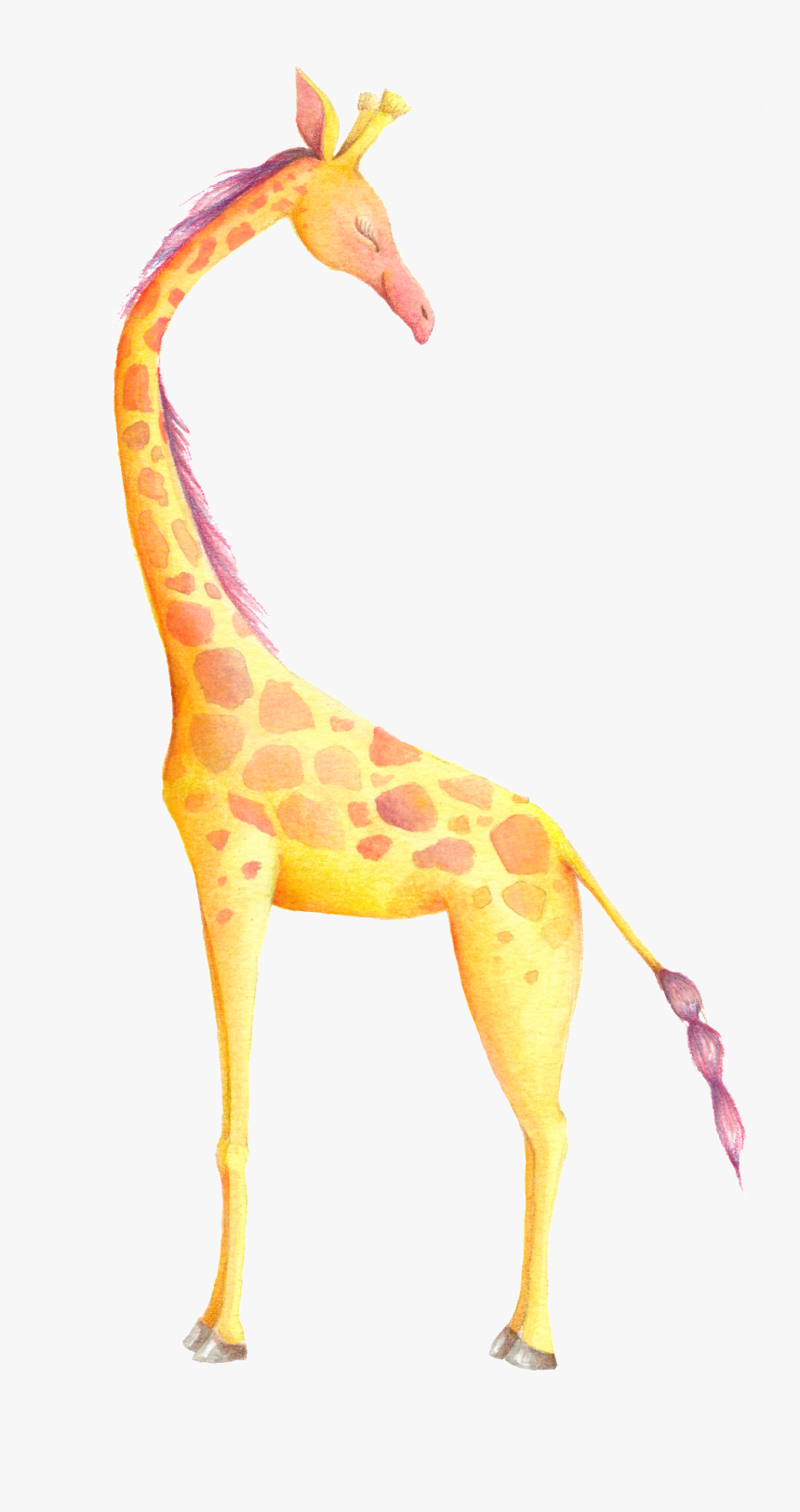 Zoo Giraffe Cartoon Transparent, HD Png Download, Free Download