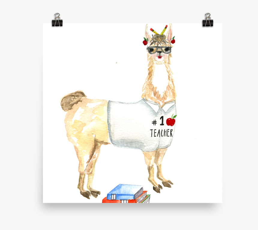 Teacher Llama Solo Poster, HD Png Download, Free Download