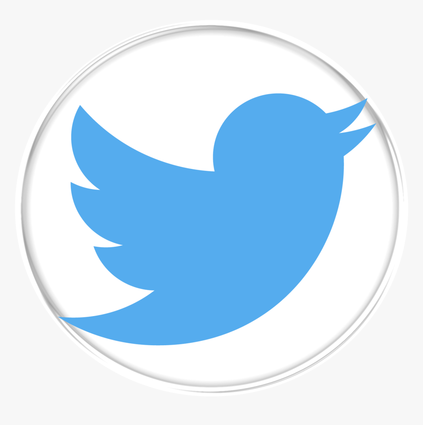 Grey Twitter Logo Png , Png Download, Transparent Png, Free Download