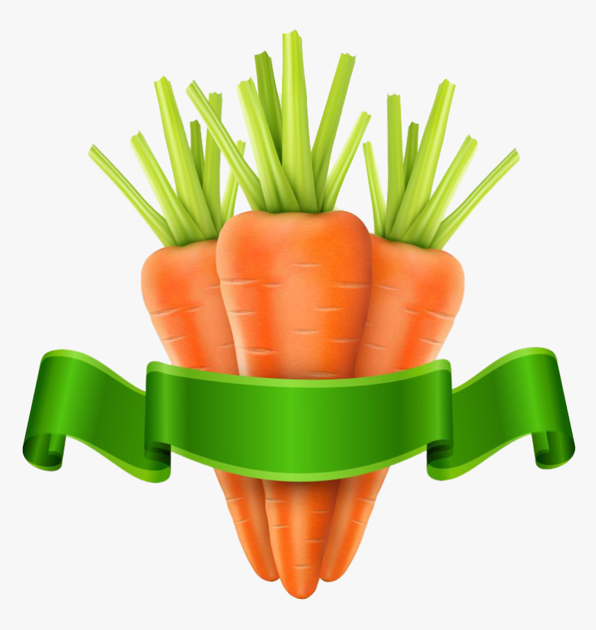 Vector Carrot Png Image Background, Transparent Png, Free Download