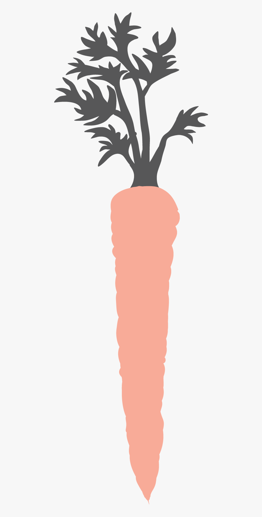 Carrot Png, Transparent Png, Free Download