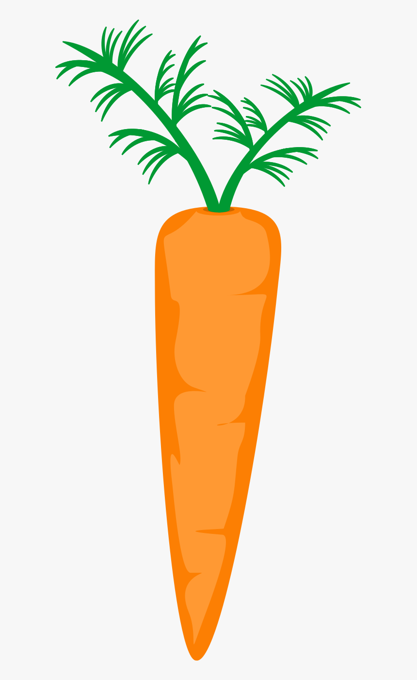 Transparent Carrot Png, Png Download, Free Download