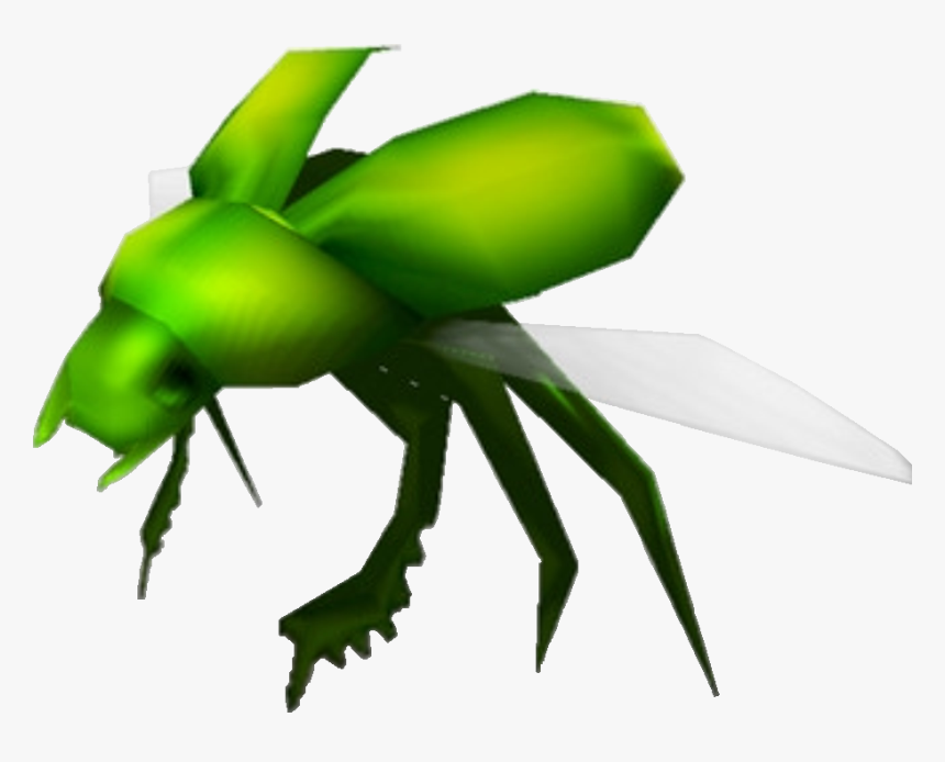 Crash Bandicoot 3 Warped Scarab Beetle, HD Png Download, Free Download