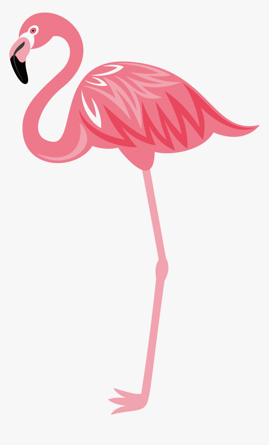 Flamingo Png, Transparent Png, Free Download