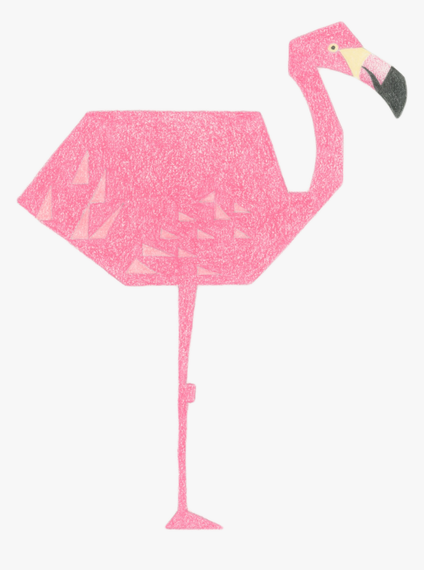 Flamingo Png, Transparent Png, Free Download