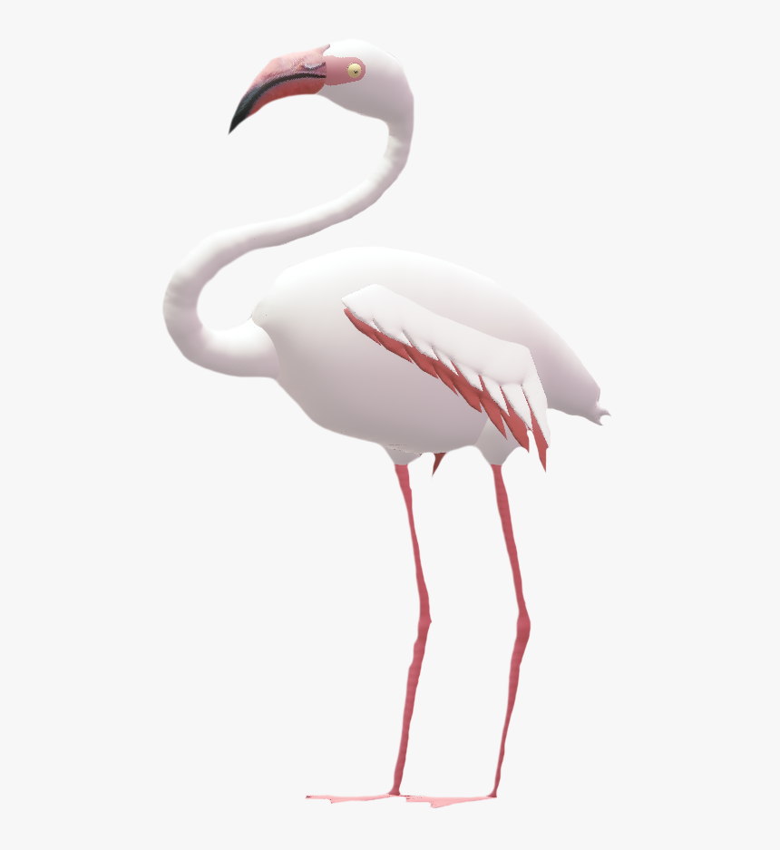 Flamingo Png, Transparent Png, Free Download