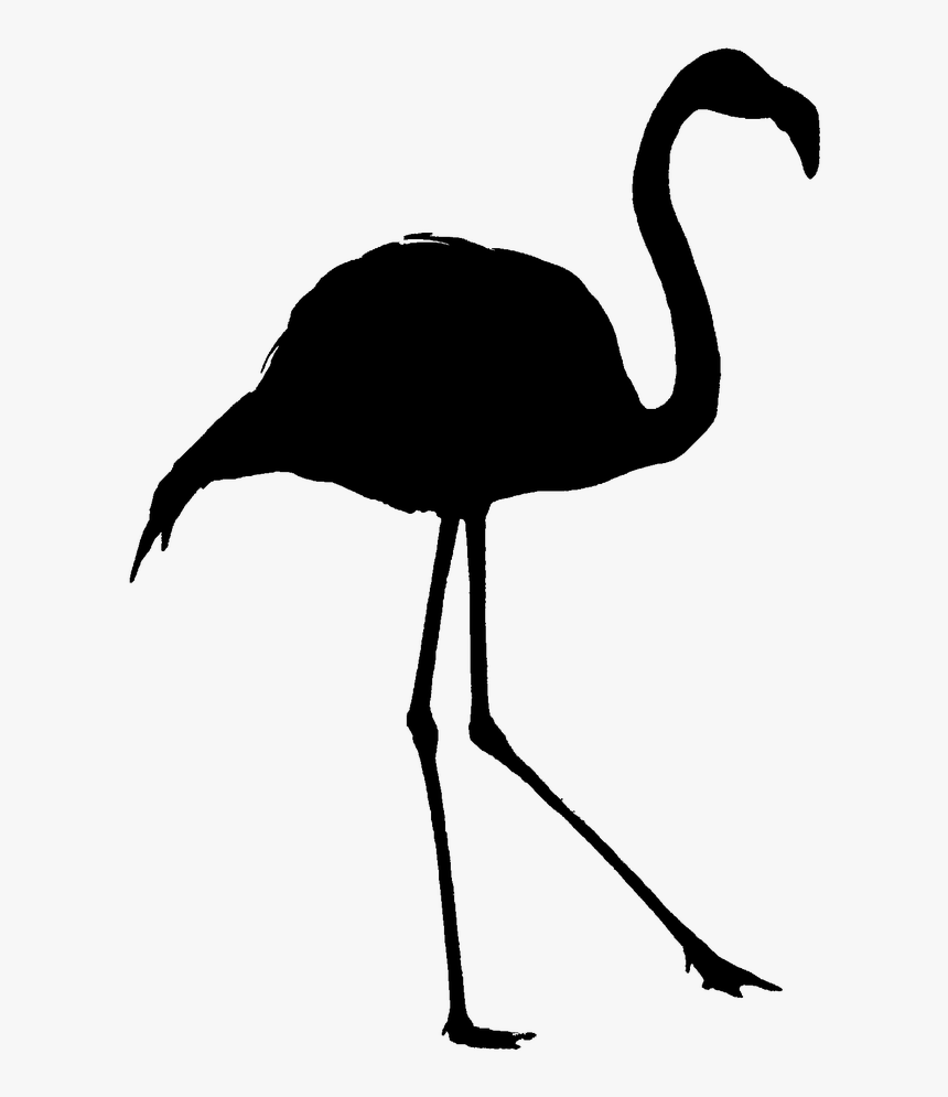 Flamingo Png, Transparent Png, Free Download