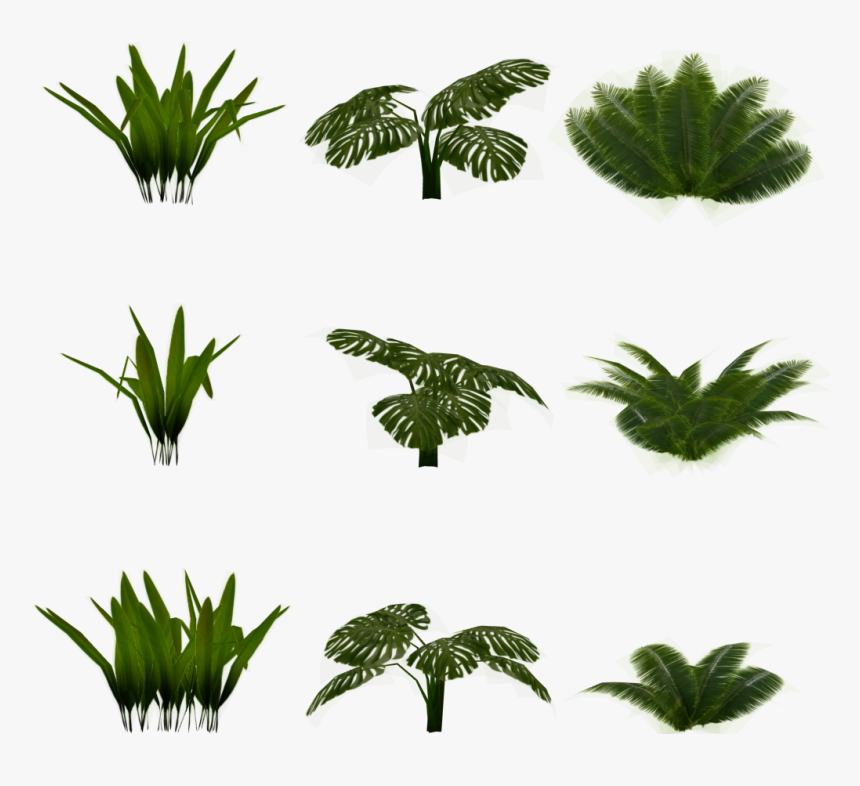 Bushes Png, Transparent Png, Free Download