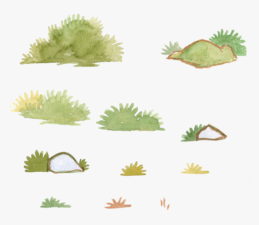 Bushes Png, Transparent Png, Free Download