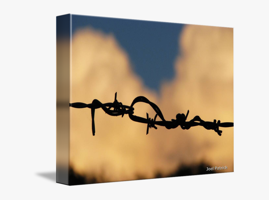 Barbed Wire City, HD Png Download, Free Download