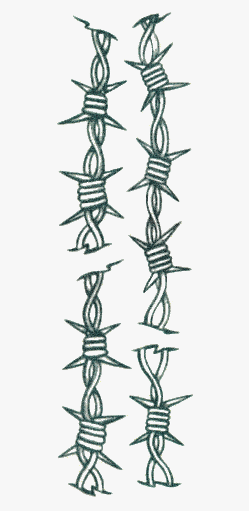 Barbed Wire Png, Transparent Png, Free Download