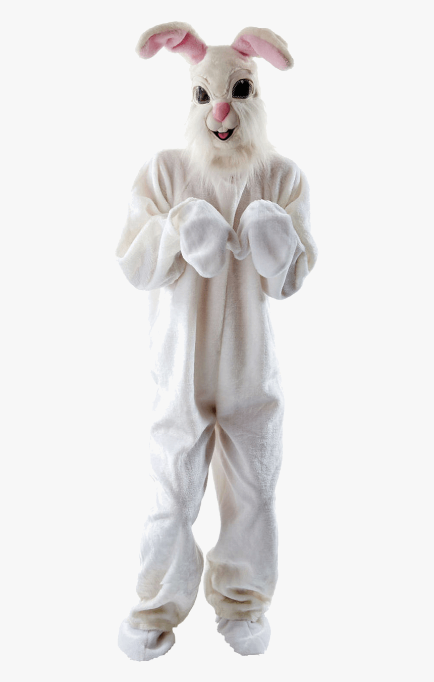 Easter Bunny Costume Png, Transparent Png, Free Download