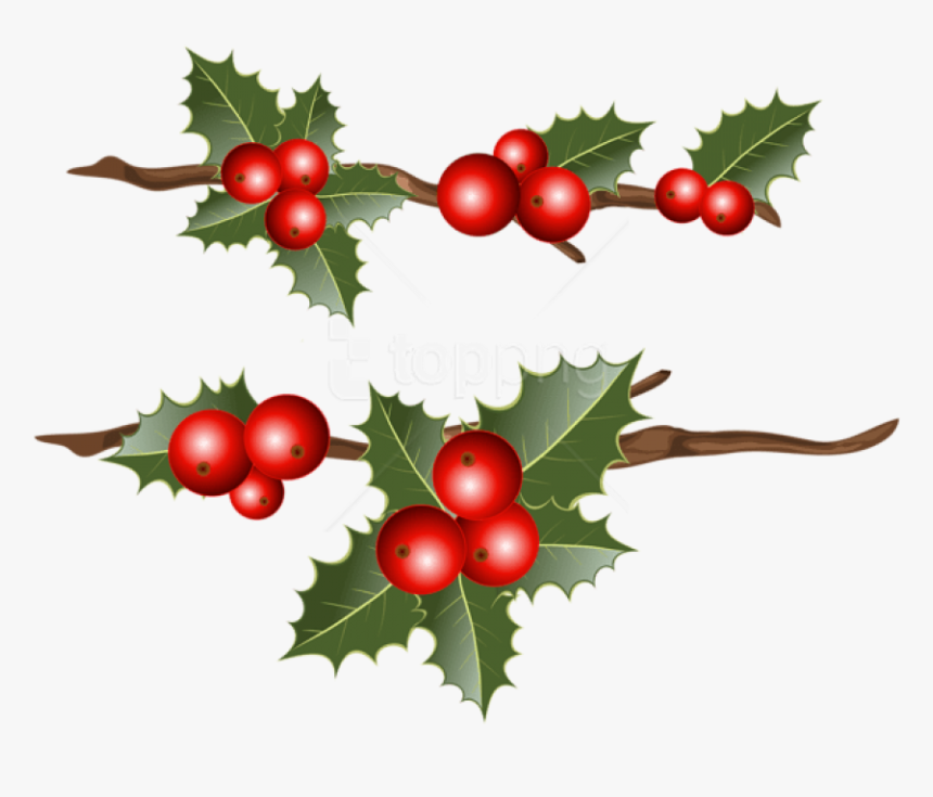 Free Png Holly Branches Png Images Transparent, Png Download, Free Download