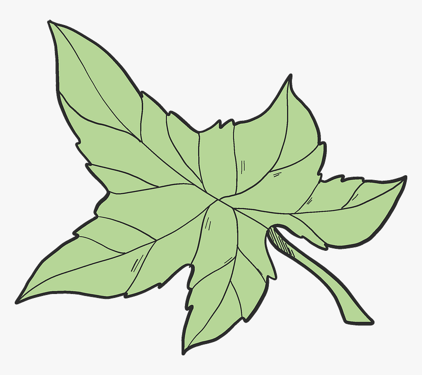 Ivy Leaf Clipart, HD Png Download, Free Download