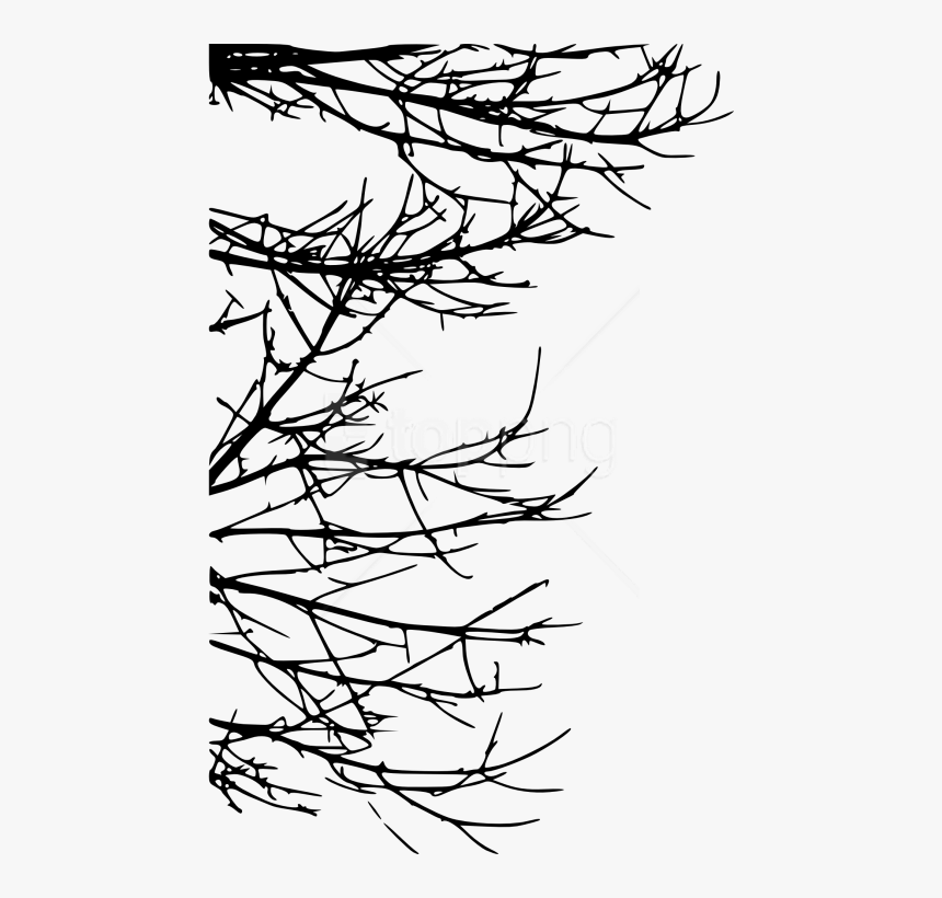 Free Png Tree Branch Png, Transparent Png, Free Download