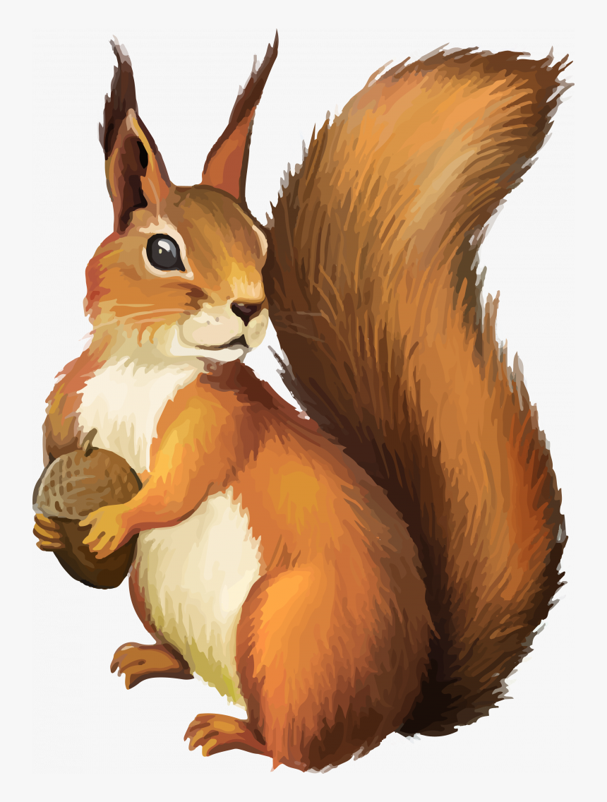 Download For Free Squirrel Icon, HD Png Download, Free Download