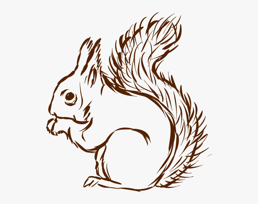 Squirrel-1577296289, HD Png Download, Free Download